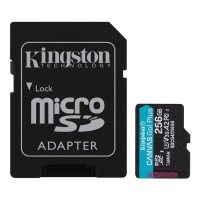 Карта пам'яті Kingston MicroSDXC Canvas Go Plus 256Gb (sd adapter)