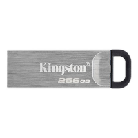 USB 3.2 Kingston DT Kyson 256Gb silver black