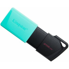 USB 3.2 Kingston DT Exodia M 256Gb black teal