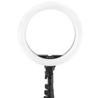 Кільцева Led лампа Proove Halo 10 (з триногою 1.6м) white